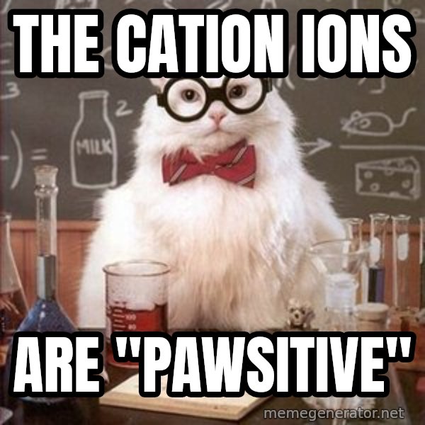 Chemistry Cat meme: The CATion ions / aRE "PAWSITIVE"