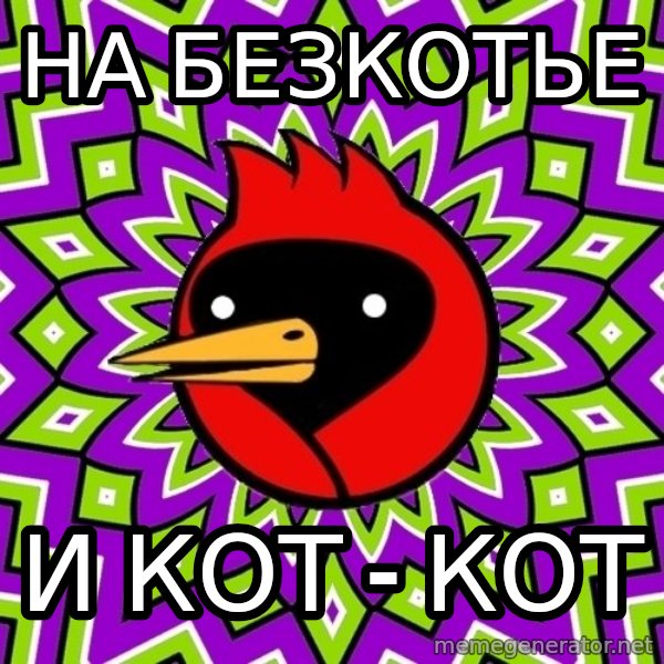Omsk Crow meme: на безкотье / и кот - кот
