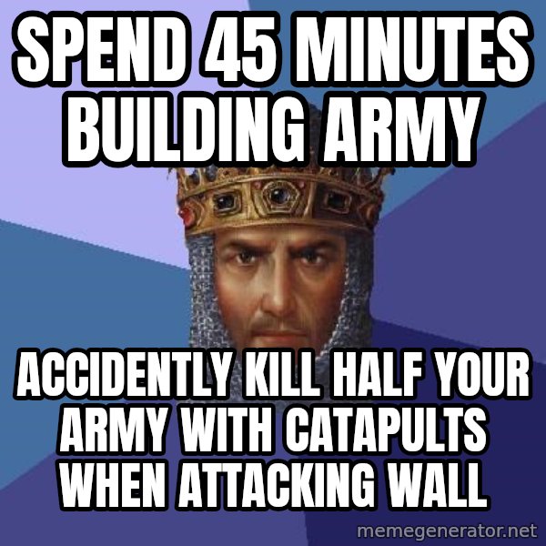 Age Of Empires meme: spend 45 minutes building army / accidently kill half your army with catapults when attacking wall