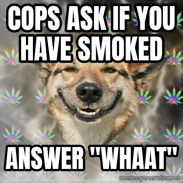 Stoner Dog meme: cops ask if you have smoked / answer ''whaat''