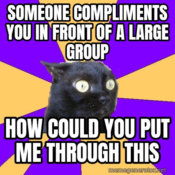 Anxiety Cat meme: someone compliments you in front of a large group / how could you put me through this