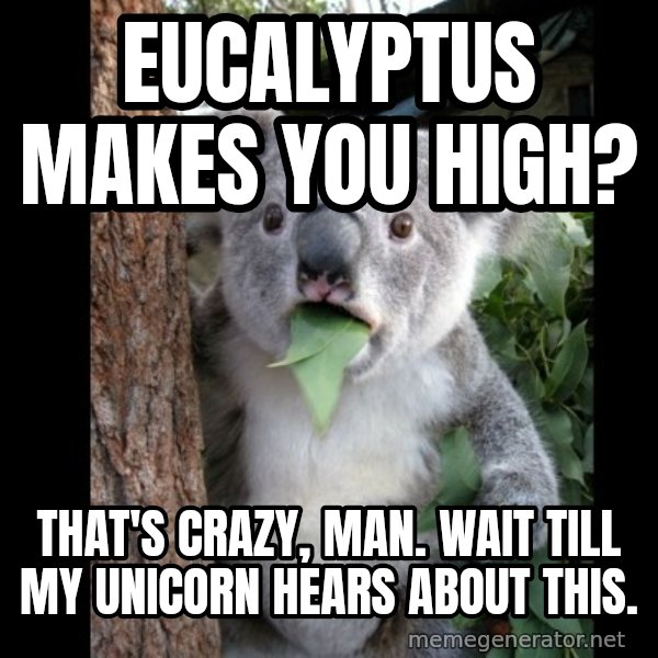 Koala can't believe it meme: Eucalyptus makes you high? / that's crazy, man. wait till my unicorn hears about this.