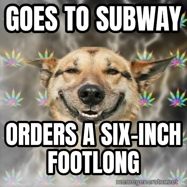 Stoner Dog meme: goes to subway / orders a six-inch footlong