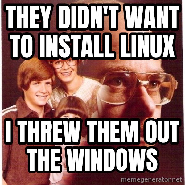 Vengeance Dad meme: they didn't want to install linux / i threw them out the windows