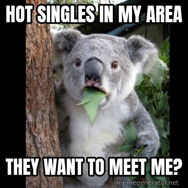 Koala can't believe it meme: Hot singles in my area / they want to meet me?