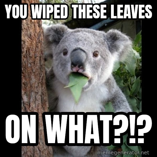 Koala can't believe it meme: You wiped these leaves / on what?!?