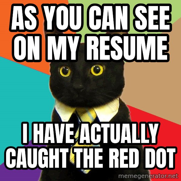 Business Cat meme: As you can see on my resume / I have actually caught the red dot