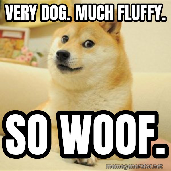 so doge meme: very dog. much fluffy. / so woof.