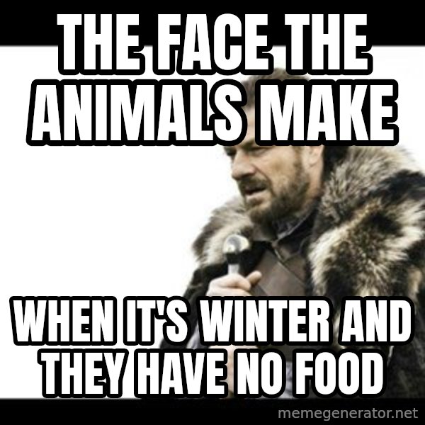 Winter is Coming meme: The face the animals make / when it's winter and they have no food
